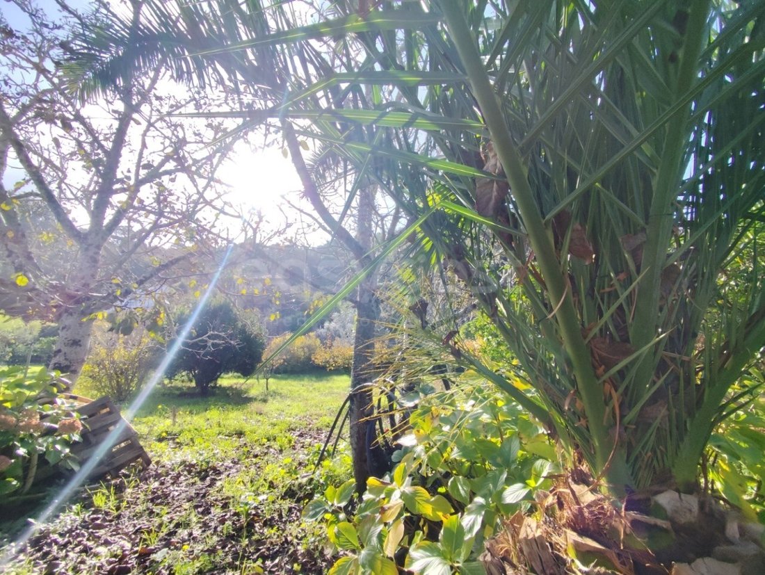 Finca in Colares, Lisbon, Portugal 4 - 16673457