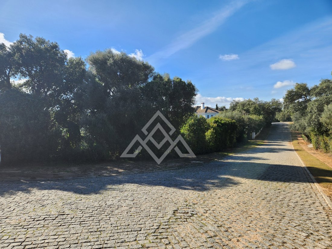 Land in Sotogrande, San Roque, Andalusia 1 - 16938123