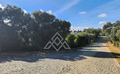 Land in Sotogrande, San Roque, Andalusia 1
