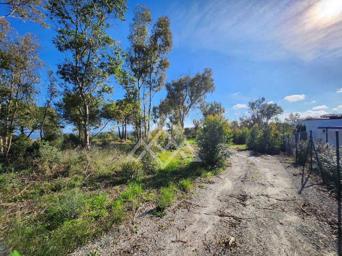 Land in Sotogrande, San Roque, Andalusia 4 - 16938130