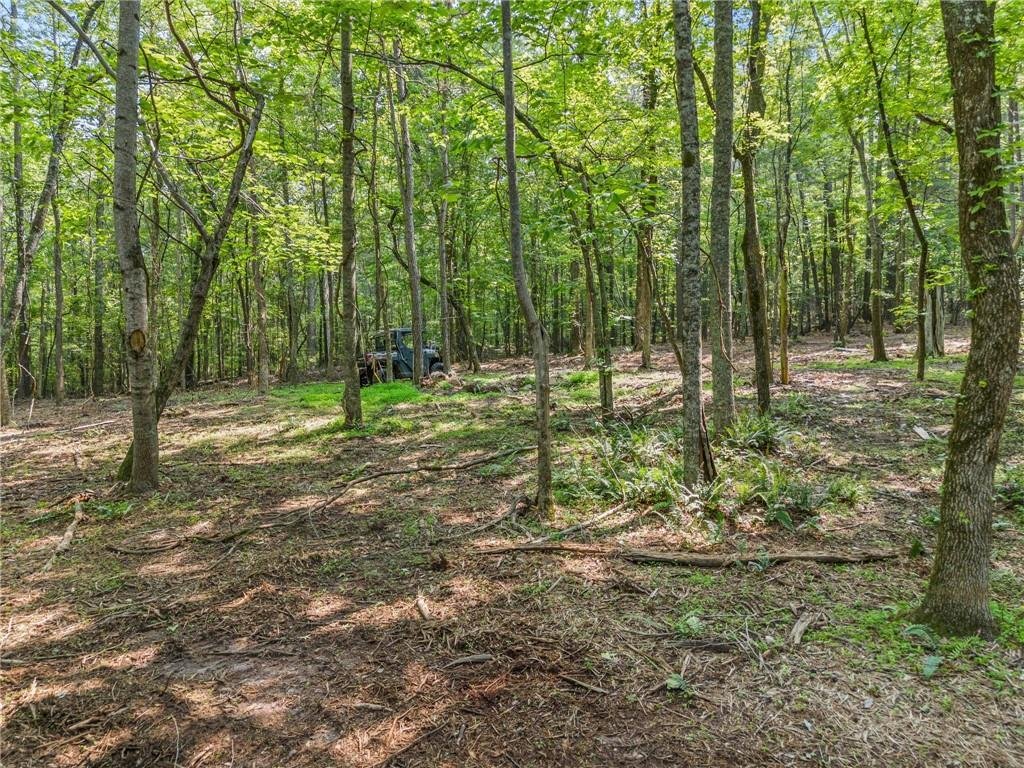 Land in Milton, United States 5 - 16940823