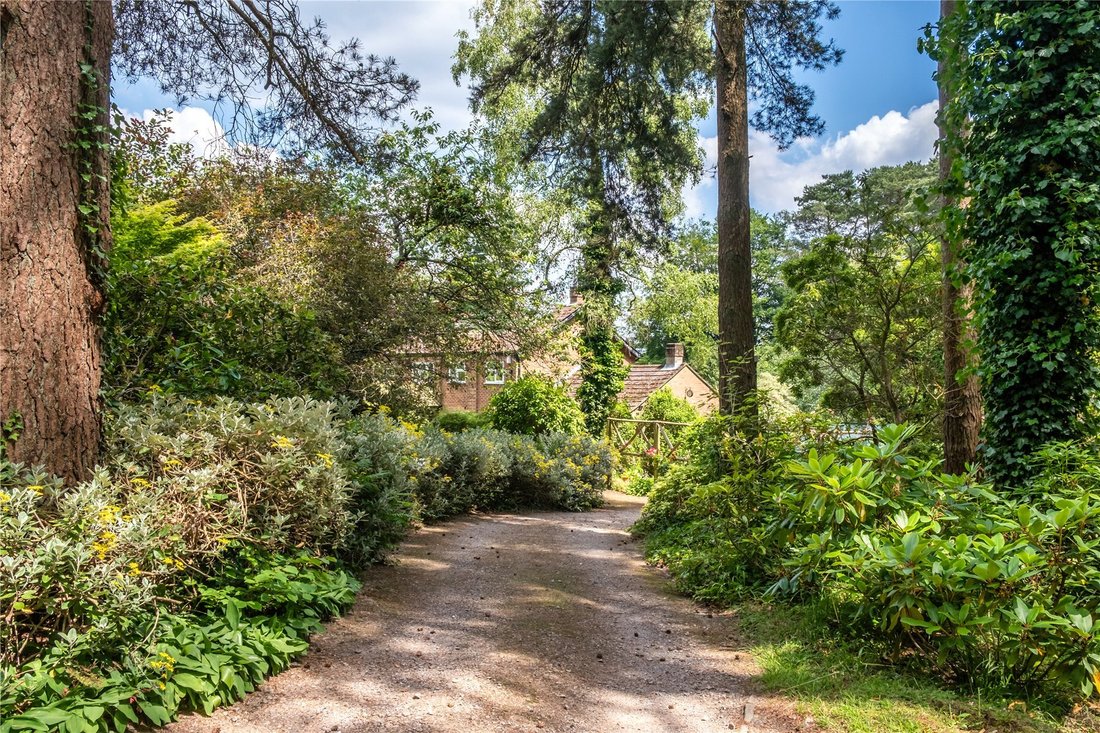 House in Grayshott, England 4 - 16941140