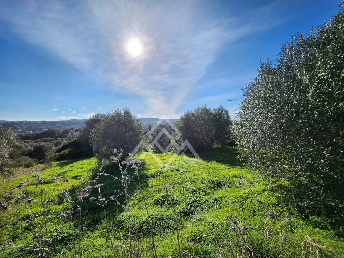 Land in Sotogrande, San Roque, Andalusia 5 - 16938151