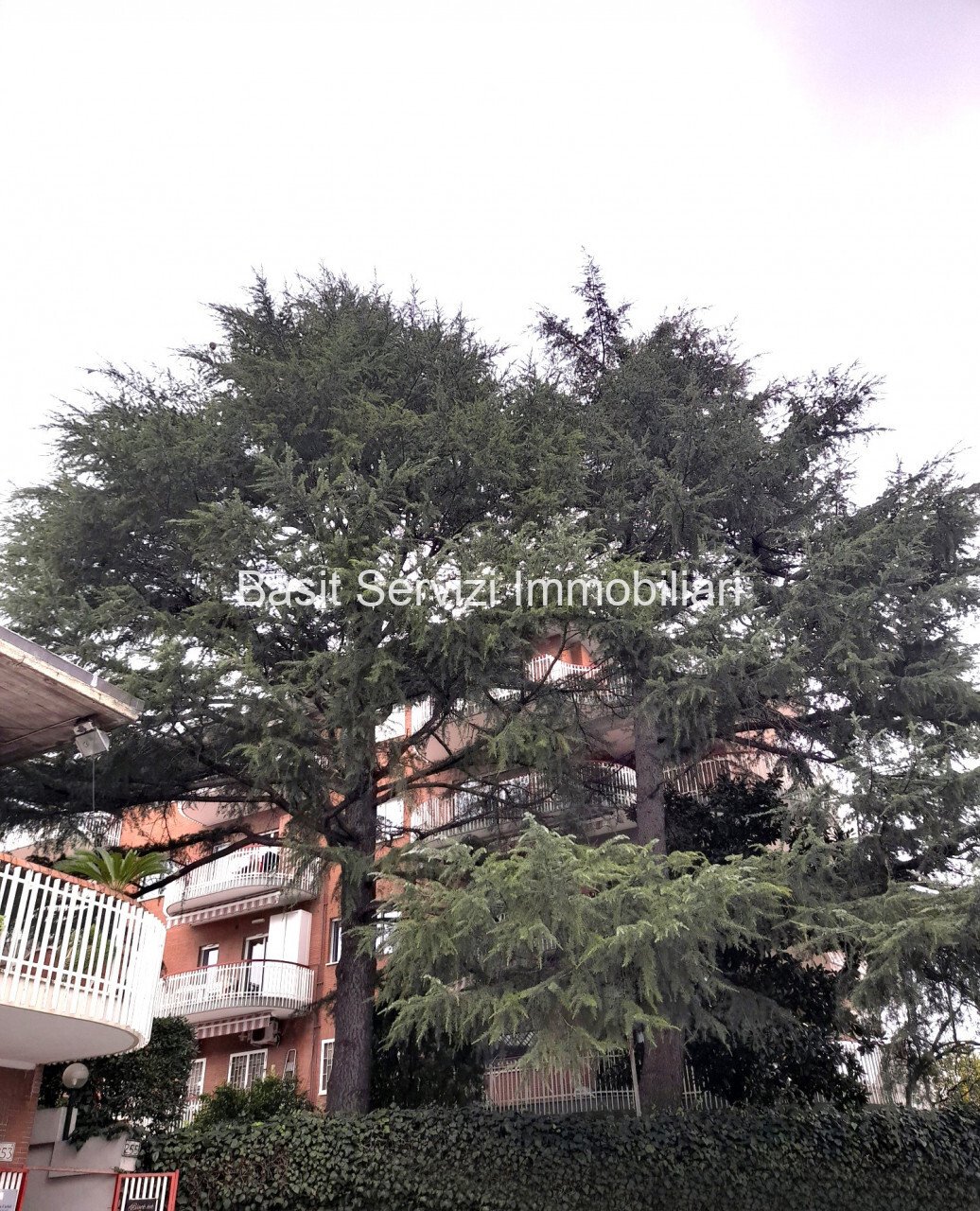 Apartment in Casetta Mattei - Corviale, Rome, Italy 4 - 16412403
