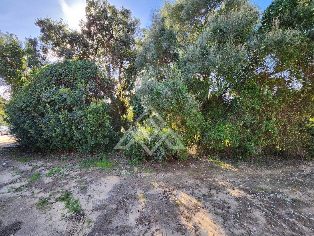 Land in Sotogrande, San Roque, Andalusia 3 - 16938123