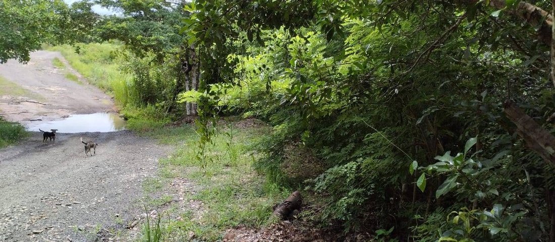 Land in Penonome, Coclé Province, Panama 4 - 16941037