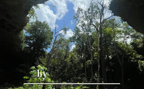 Land in Valladolid, Yucatán, Mexiko 1