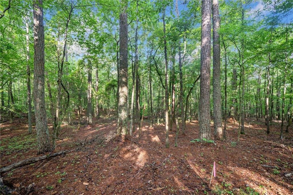 Land in Milton, United States 4 - 16940823