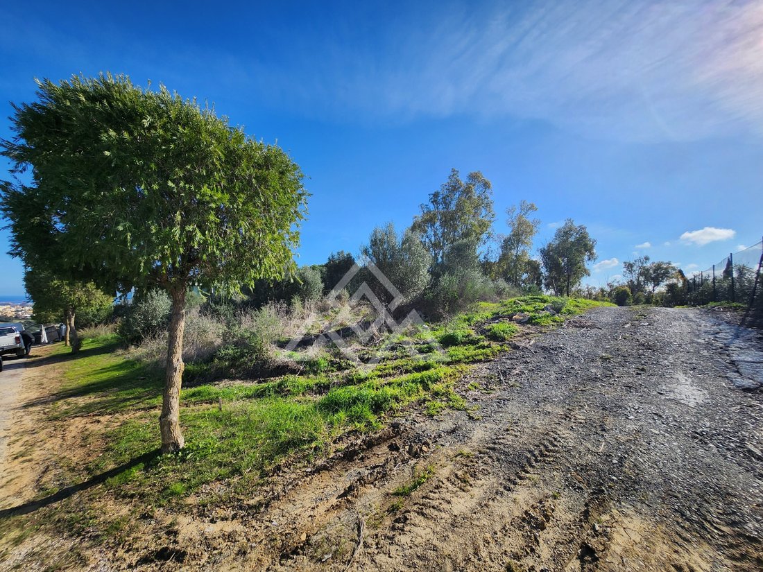 Land in Sotogrande, San Roque, Andalusia 2 - 16938130