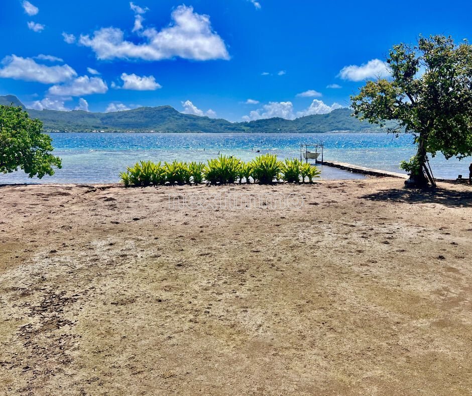 Land in Vaitape, Leeward Islands, French Polynesia 2 - 16942149