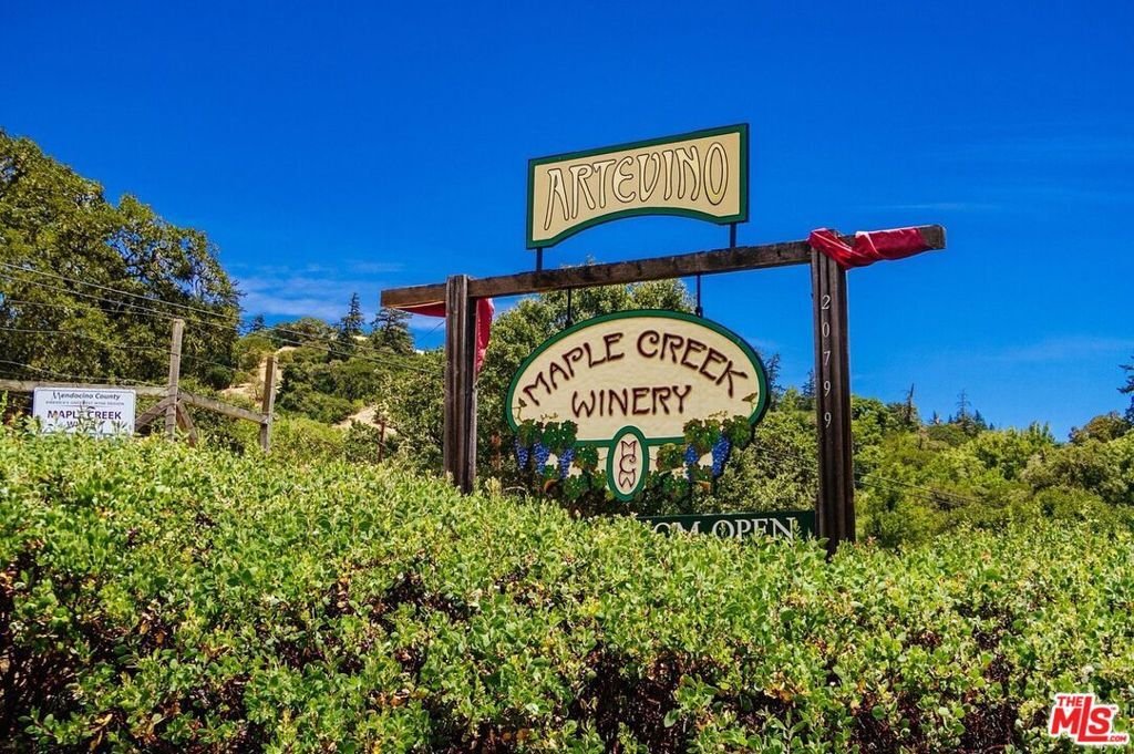 House in Yorkville, California, United States 3 - 16939056