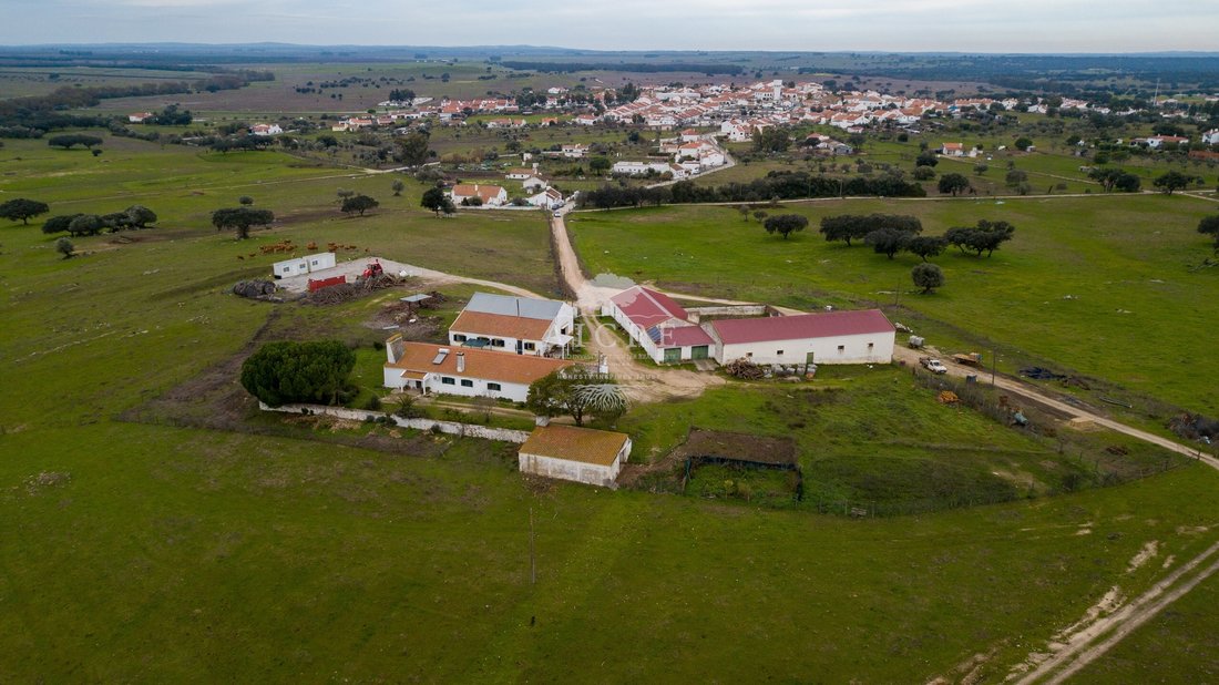 Farm Ranch in Viana do Alentejo, Évora District, Portugal 1 - 16938468