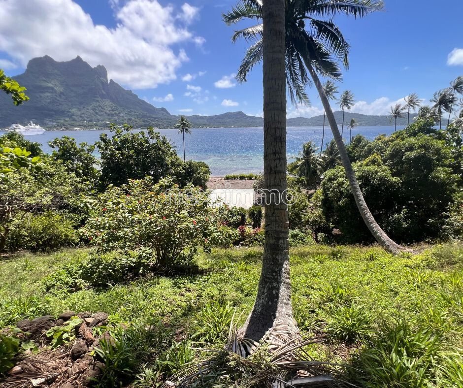 Land in Vaitape, Leeward Islands, French Polynesia 5 - 16942149
