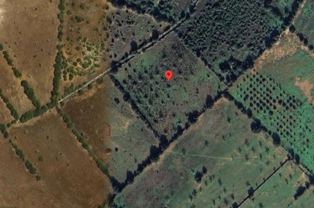 ses Salines, Balearic Islands, Spain 4 - 16940059