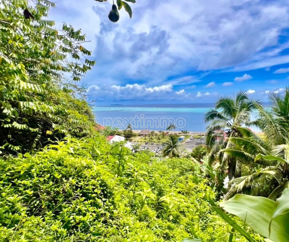 Land in Raiatea, Leeward Islands, French Polynesia 3 - 16942141
