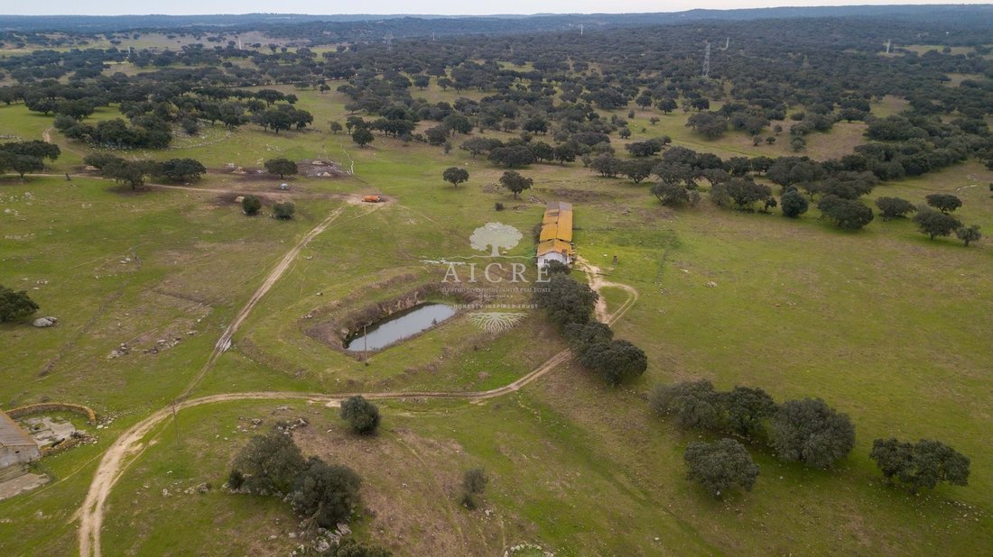 Farm Ranch in Viana do Alentejo, Évora District, Portugal 3 - 16938468