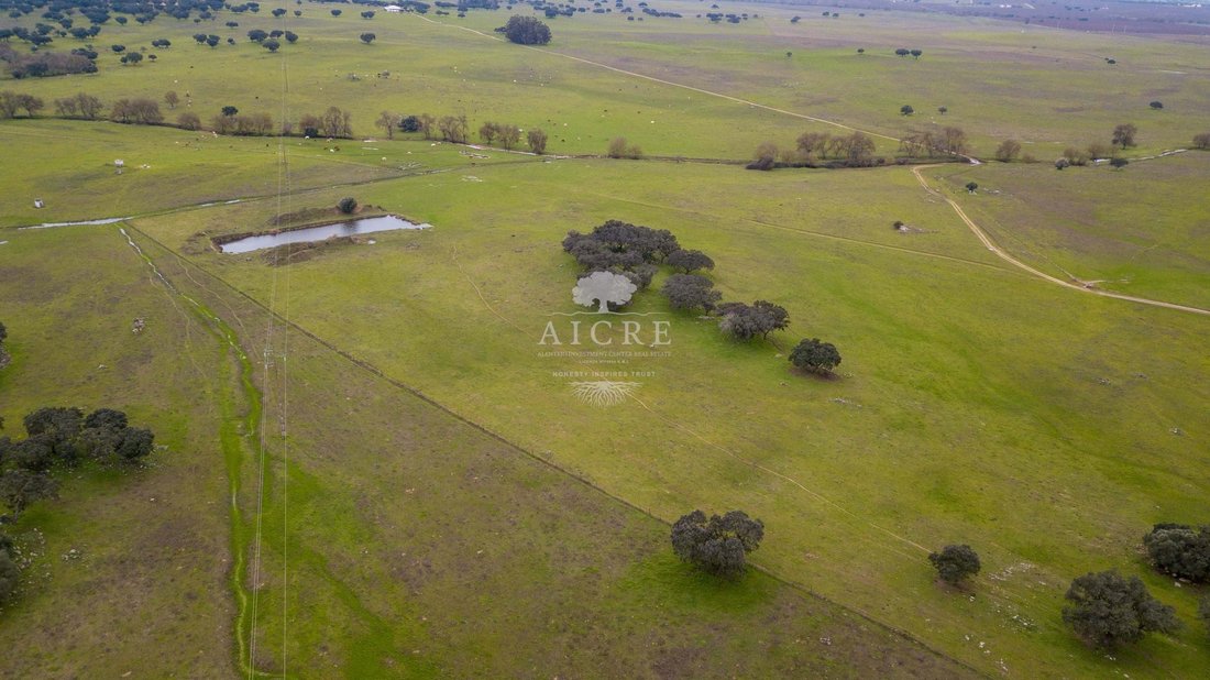 Farm Ranch in Viana do Alentejo, Évora District, Portugal 5 - 16938468