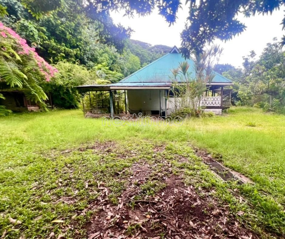 Land in Raiatea, Leeward Islands, French Polynesia 4 - 16942141