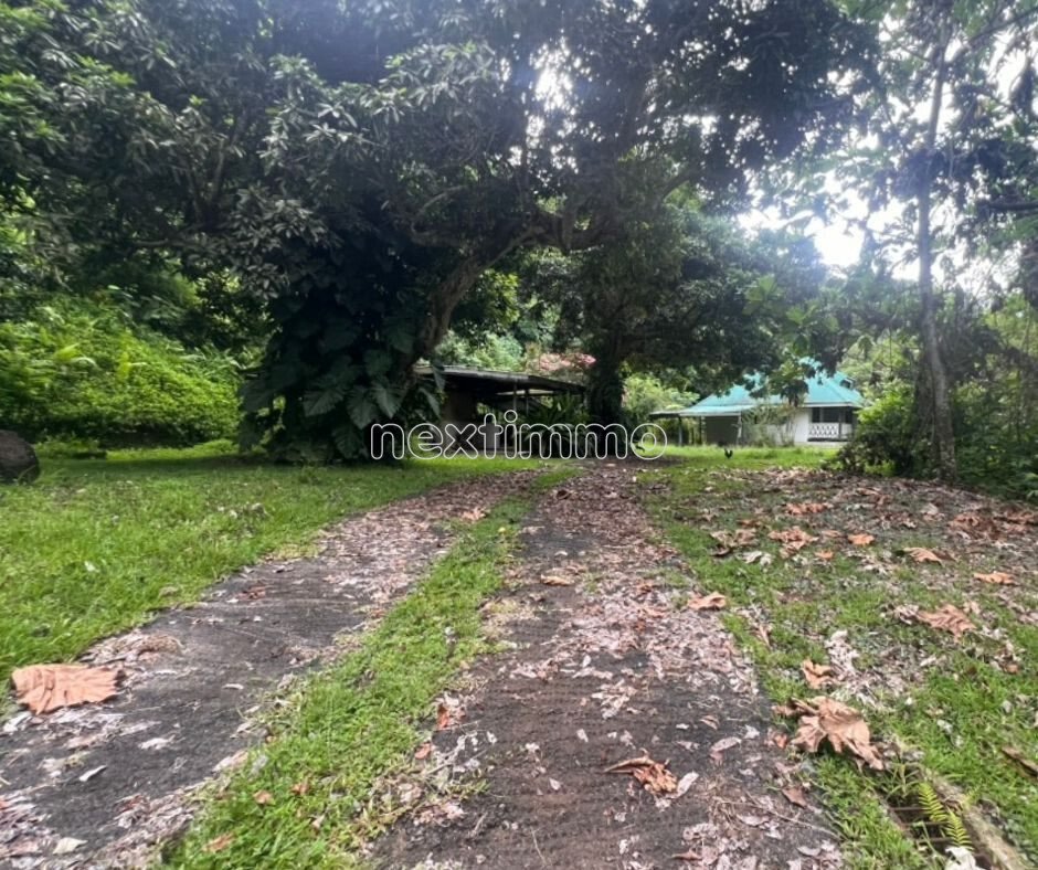 Land in Raiatea, Leeward Islands, French Polynesia 1 - 16942141