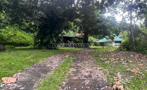 Land in Raiatea, Leeward Islands, French Polynesia 1