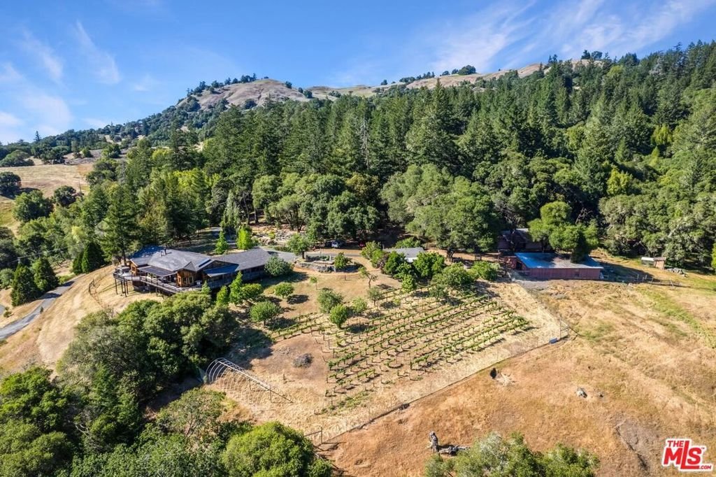 House in Yorkville, California, United States 1 - 16939056