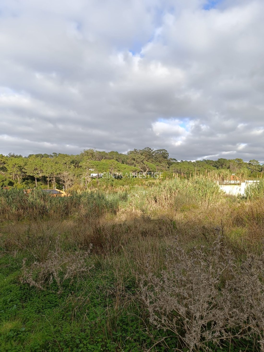 Land in Colares, Lisbon, Portugal 3 - 16938169