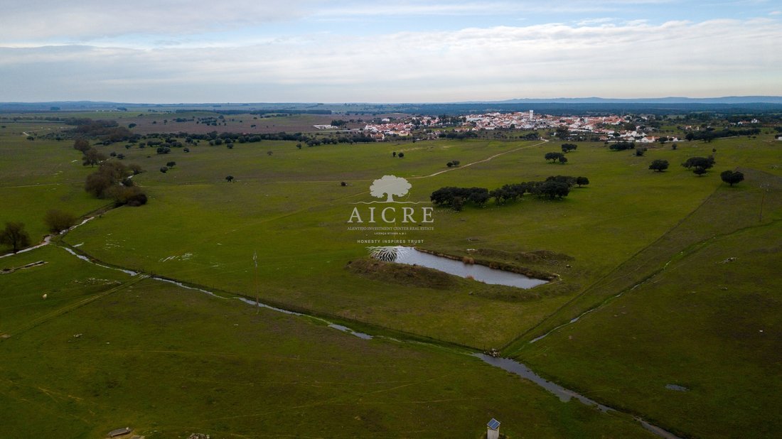 Farm Ranch in Viana do Alentejo, Évora District, Portugal 4 - 16938468