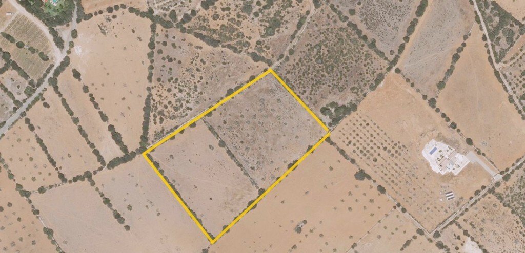 ses Salines, Balearic Islands, Spain 3 - 16940059