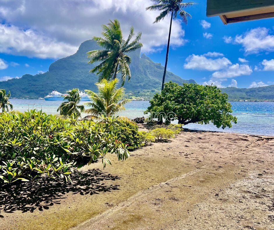 Land in Vaitape, Leeward Islands, French Polynesia 1 - 16942149