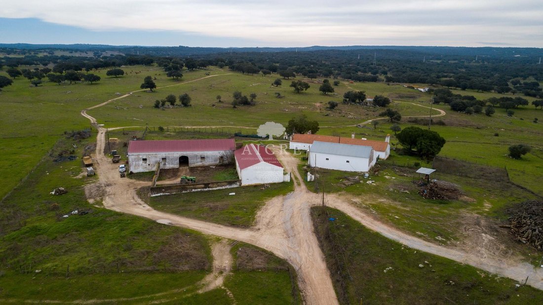 Farm Ranch in Viana do Alentejo, Évora District, Portugal 2 - 16938468