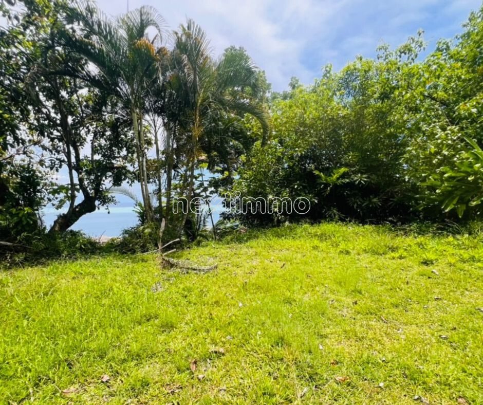 Land in Raiatea, Leeward Islands, French Polynesia 5 - 16942141