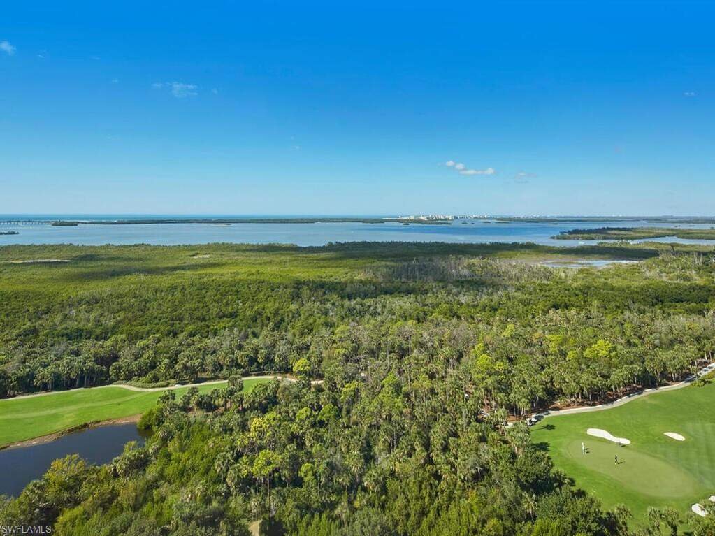 House in Bonita Springs, Florida, United States 1 - 16941888