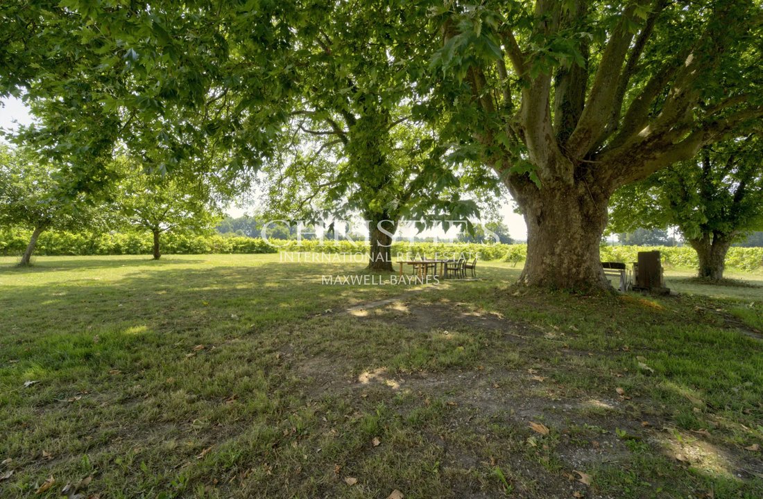 Estate in Saint-Pey-de-Castets, Nouvelle-Aquitaine, France 5 - 15831327