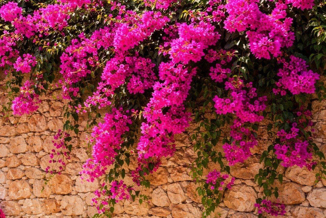 House in Bunyola, Balearic Islands, Spain 3 - 16943480