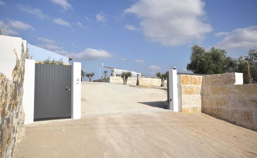 Azienda agricola a Sao Vicente do Paul e Vale de Figueira, Distretto di Santarém, Portogallo 1