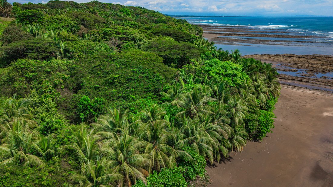 Land in Esterillos Oeste, Puntarenas Province, Costa Rica 5 - 16945925