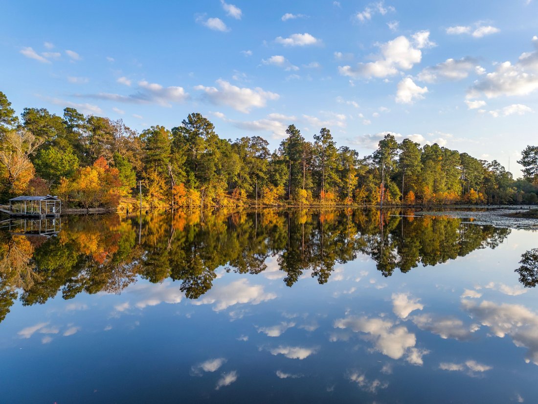 Farm Ranch in Lufkin, Texas, United States 1 - 16952216