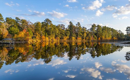 Farm Ranch in Lufkin, Texas, United States 1