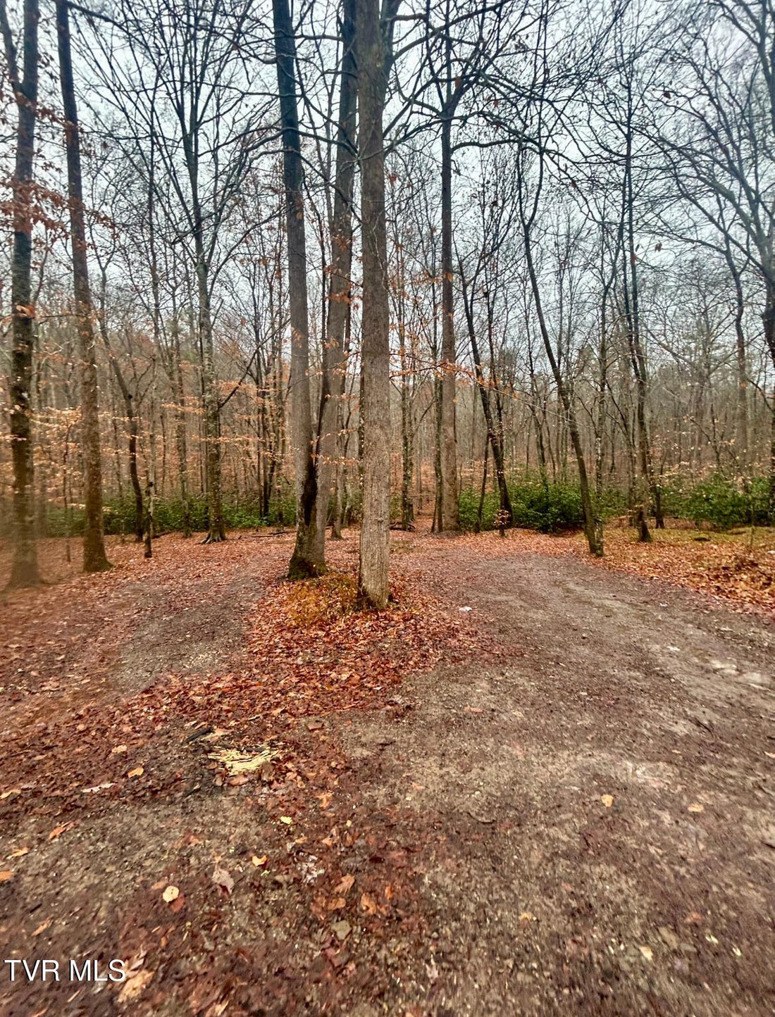 Land in Bean Station, Tennessee, United States 3 - 16945976