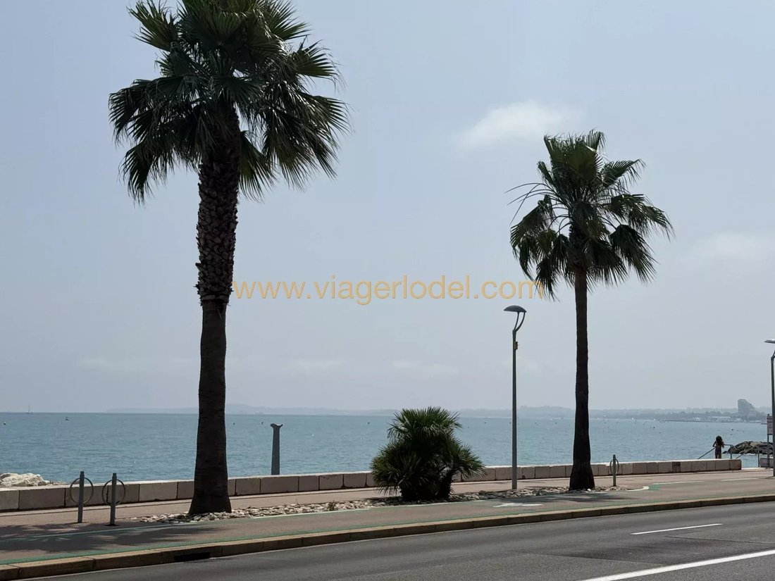 House in Cros de Cagnes-RN, Cagnes-sur-Mer, France 2 - 16945841