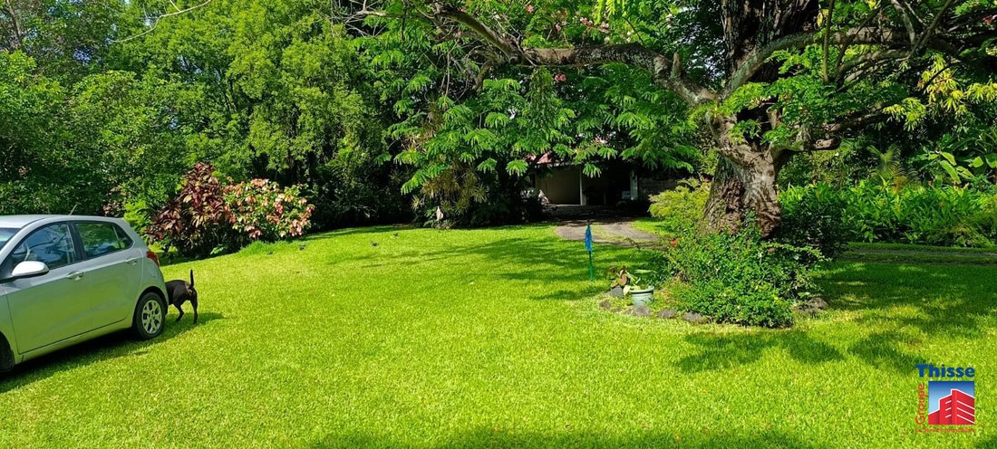 Land in Puna'auia, Windward Islands, French Polynesia 4 - 16949780