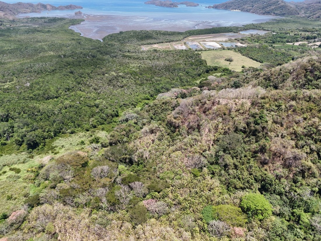 Land in Paquera, Puntarenas Province, Costa Rica 2 - 16948841