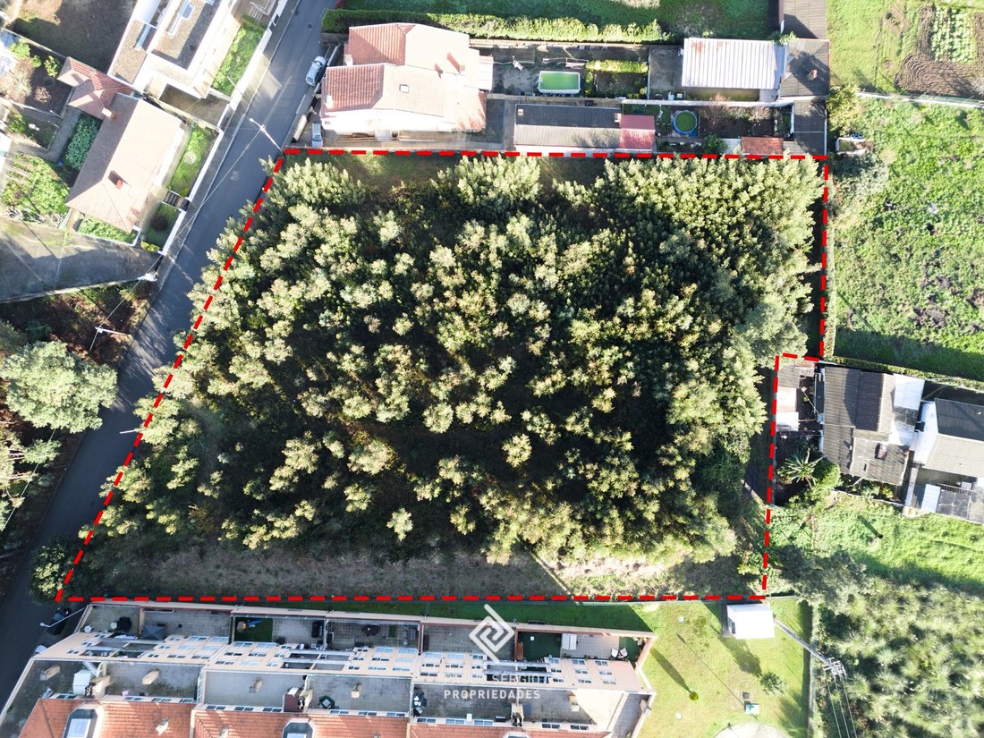 Land in Canelas, Porto District, Portugal 2 - 16951139