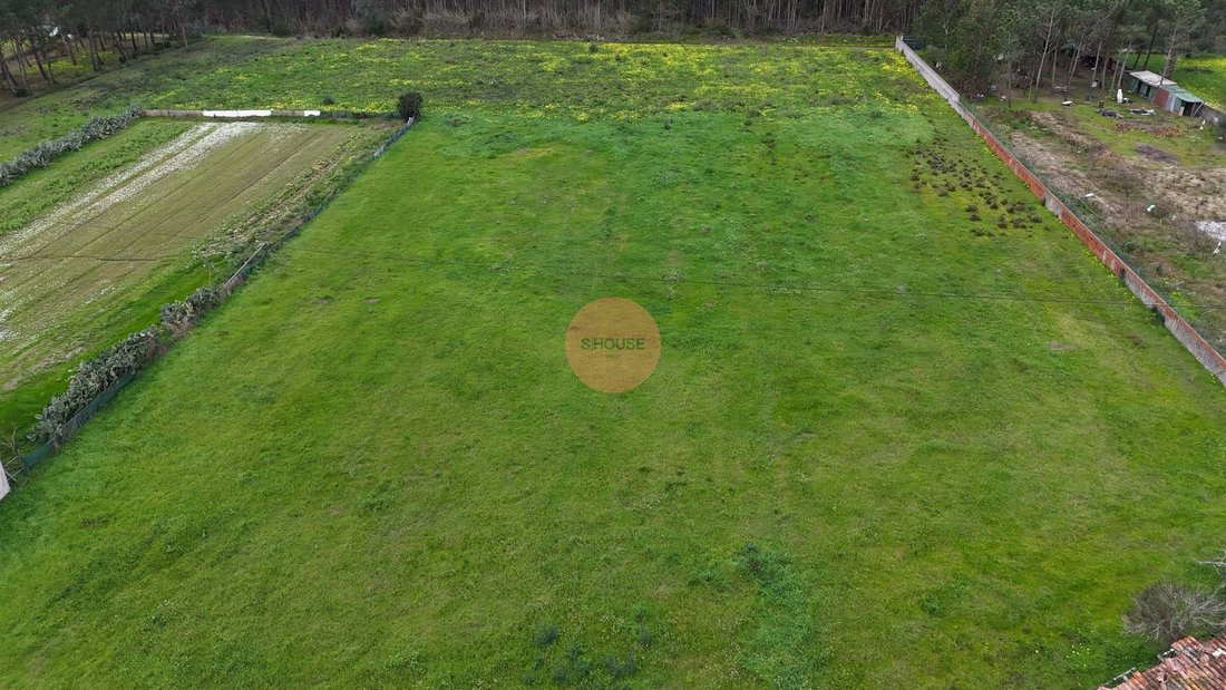 Land in Famalicao, Leiria District, Portugal 5 - 16946208