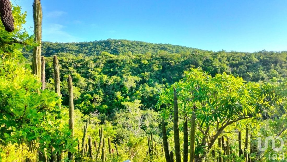 Land in Palo Escopeta, Baja California Sur, Mexico 1 - 16945631