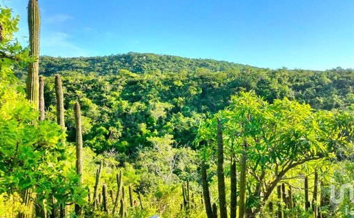 Land in Palo Escopeta, Baja California Sur, Mexico 1