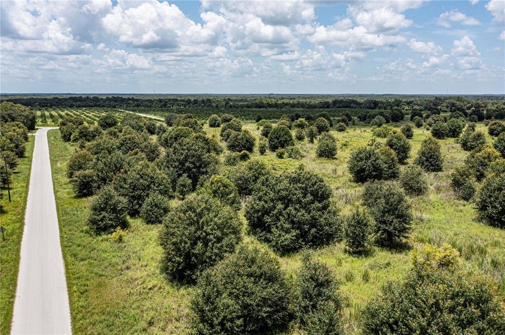 Land in Arcadia, Florida, United States 4 - 16946350