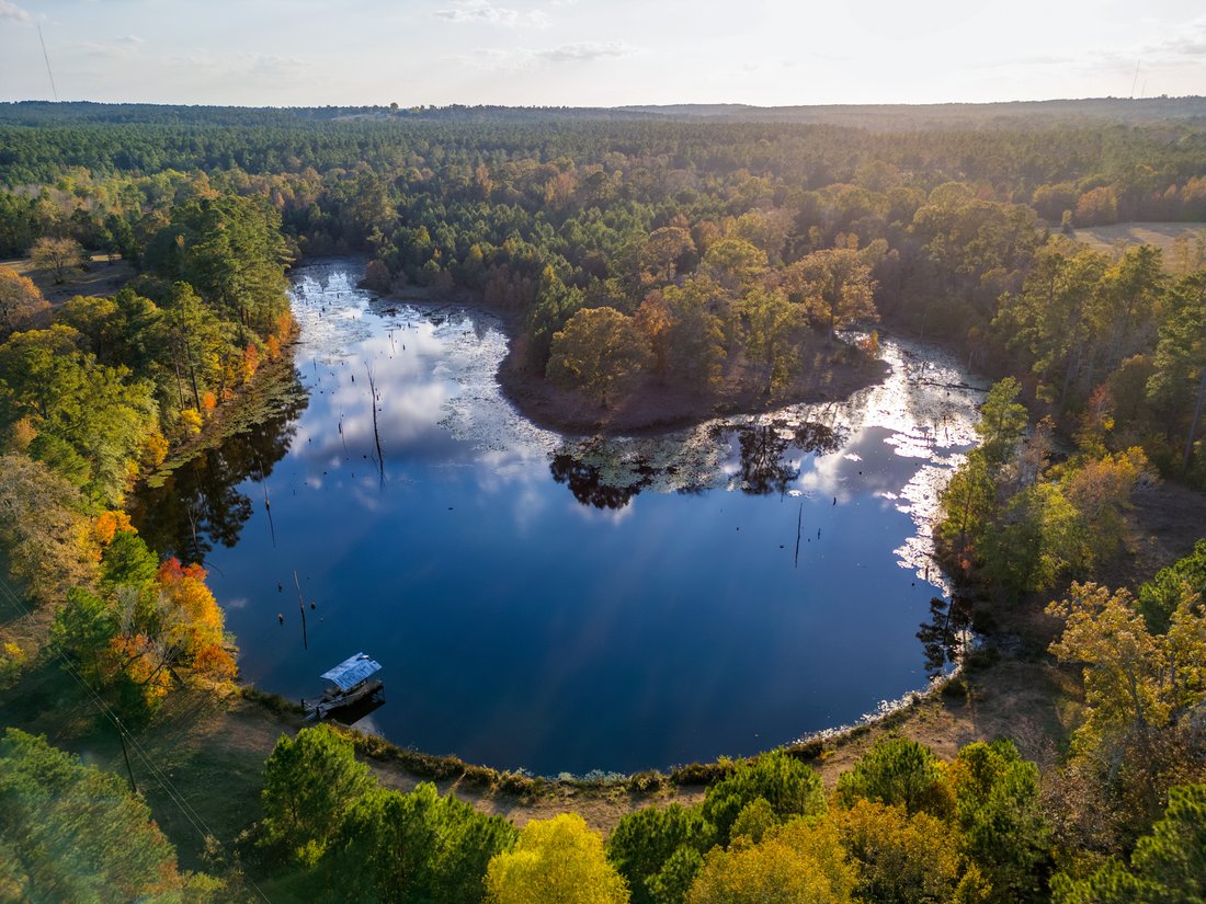 Farm Ranch in Lufkin, Texas, United States 4 - 16952216