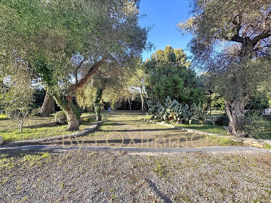 Estate in Les Cougoulins-Rastines, Antibes, France 4 - 16948640