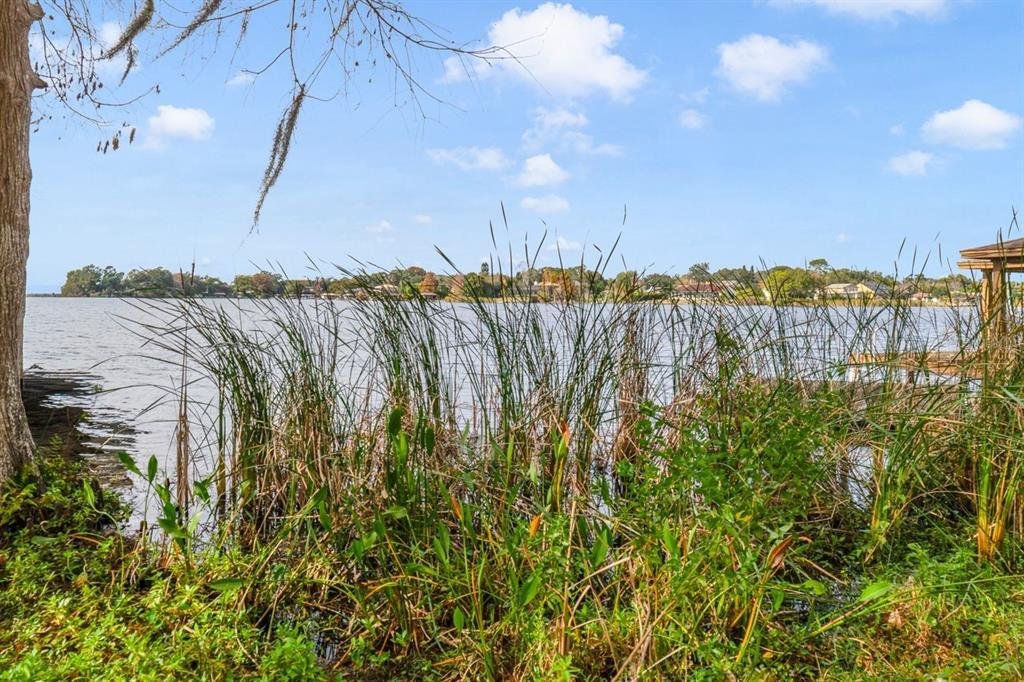Land in Orlando, Florida, United States 4 - 16952751